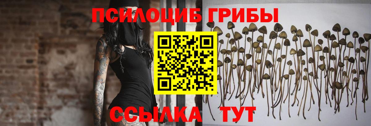 Галлюциногенные грибы MAGIC MUSHROOMS  Вход с VPN  Копейск 